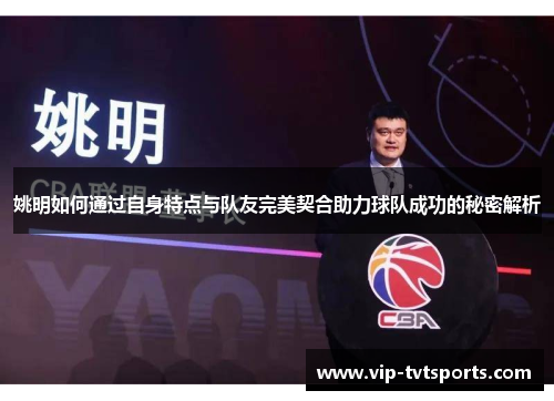 姚明如何通过自身特点与队友完美契合助力球队成功的秘密解析