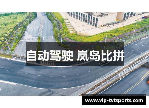 自动驾驶 岚岛比拼